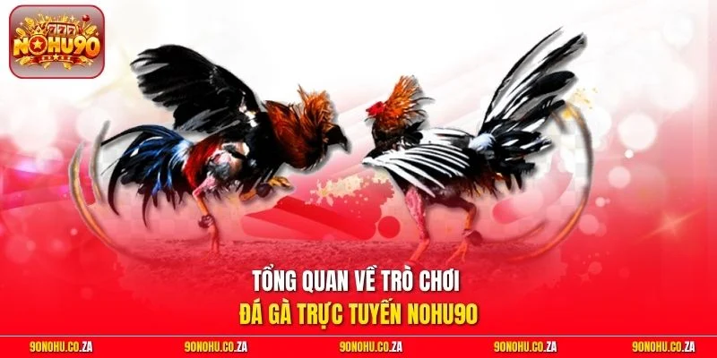 Tổng quan về trò chơi đá gà trực tuyến Nohu90